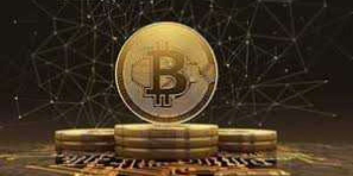 Important role of Bitcoin Profit software in successful trading