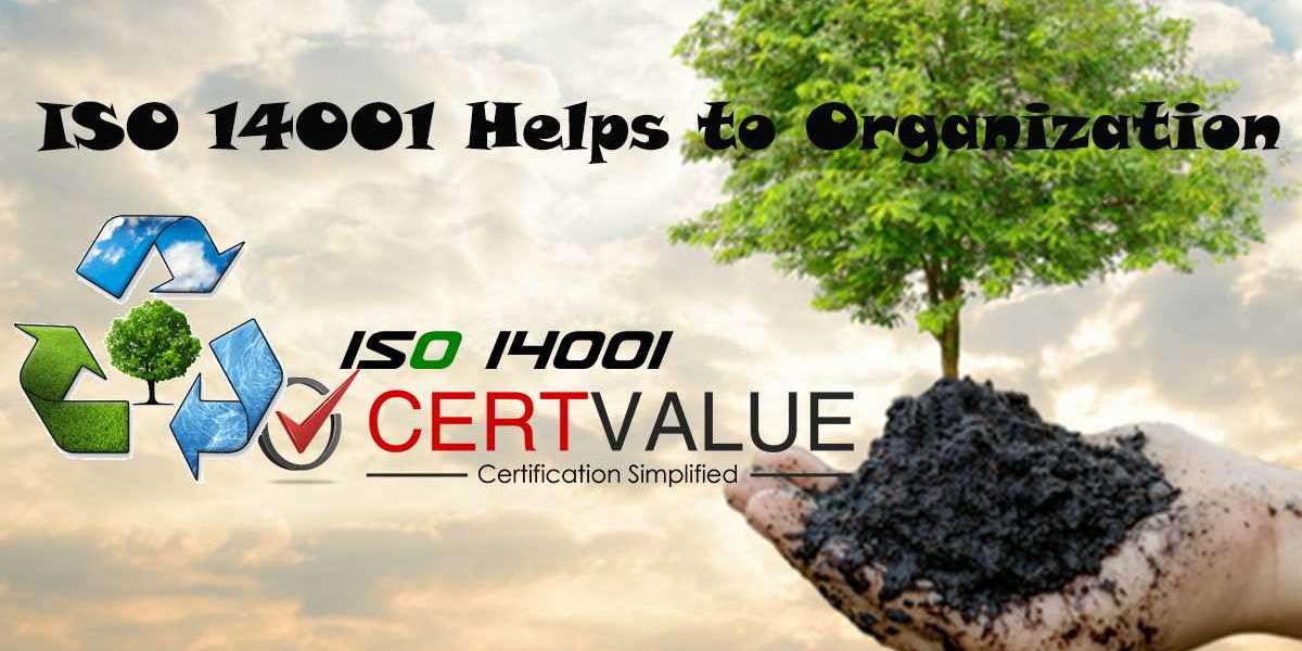 How can ISO 14001 help improve a company’s total quality management?