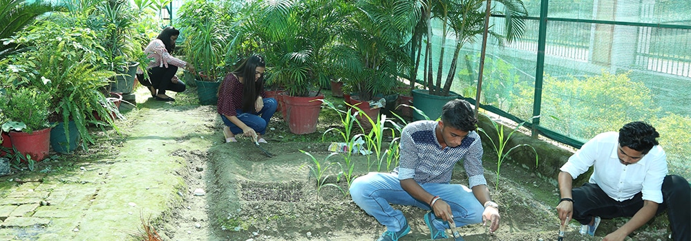 BSc Agriculture Scope in India: Know important higher studies & career options