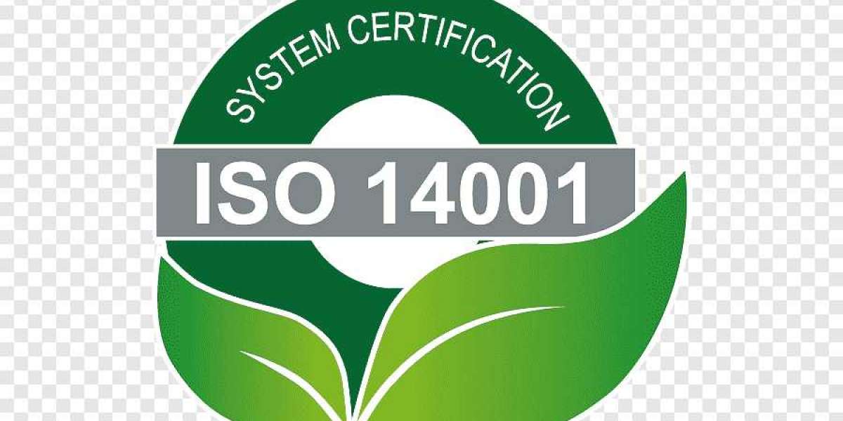 What competences should you look for when hiring an ISO 14001 environmental professional?