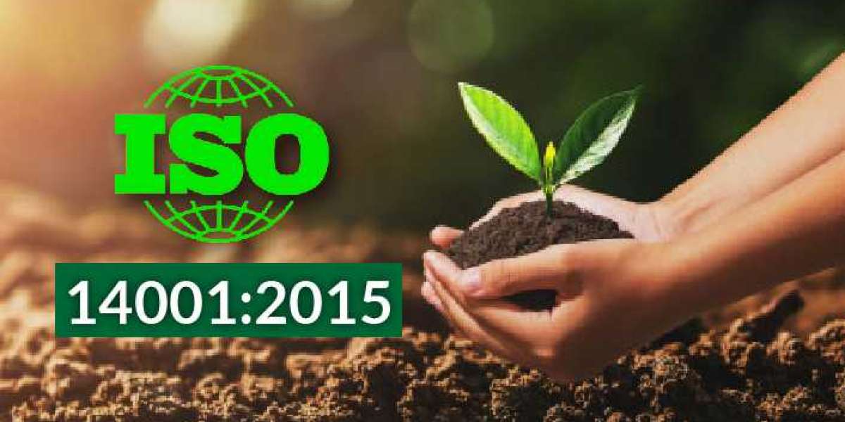 3 key challenges of ISO 14001 implementation in an SME