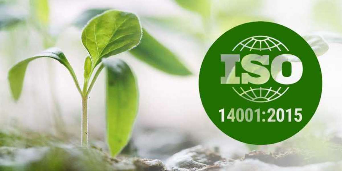 History and future of ISO 14001 Environmental Management series standards