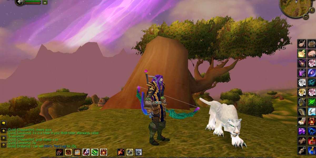 When World of Warcraft launched in 2004, all of the lore