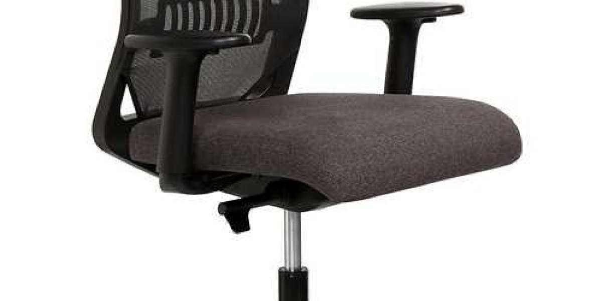 Taking a Look at Electric Lift Chair Manufacturers