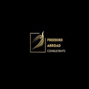 FreebirdAbroad Consultants Profile Picture