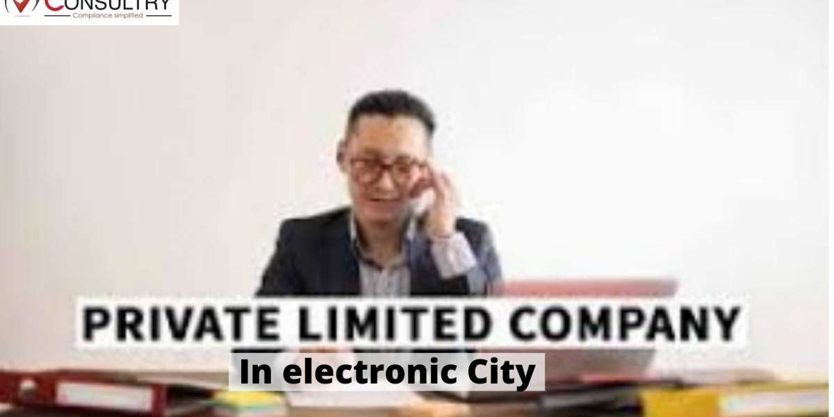 What are the Crucial facts that are of private limited company facing in electronic city?