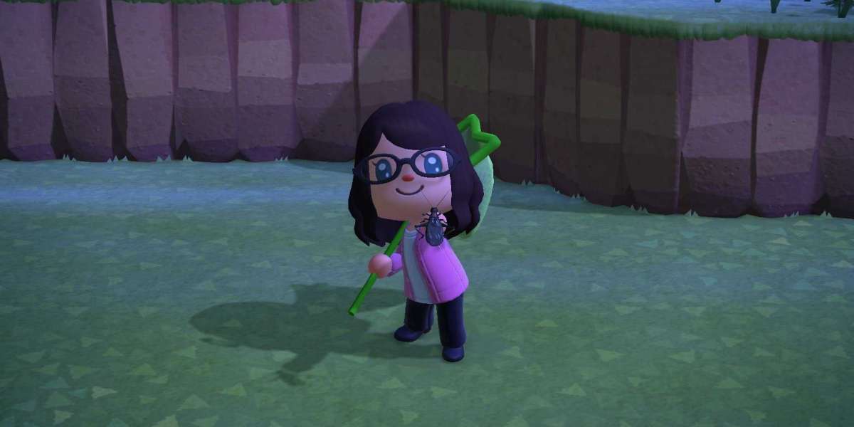 Animal Crossing Items companion over that she