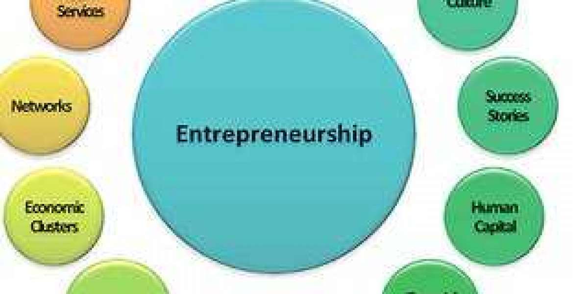 Thirteen Most Important Forms of Education for Entrepreneurs
