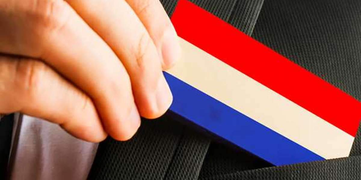 Why Netherland is Best Country for Business Registration