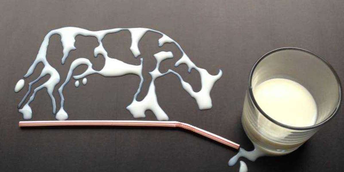 Cow Milk Chennai