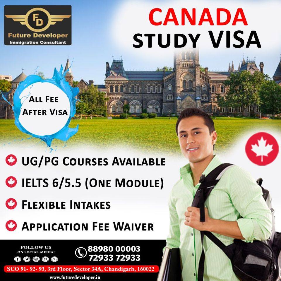 Future Developer - Best Visa Consultant - Future Developer : Study Visa - Tourist Visa - PR Visa