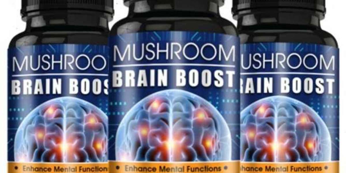 Where to Buy Mushroom Brain Focus?