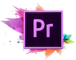 Adobe Premiere Pro CC 2019 Crack Free Download For Windows