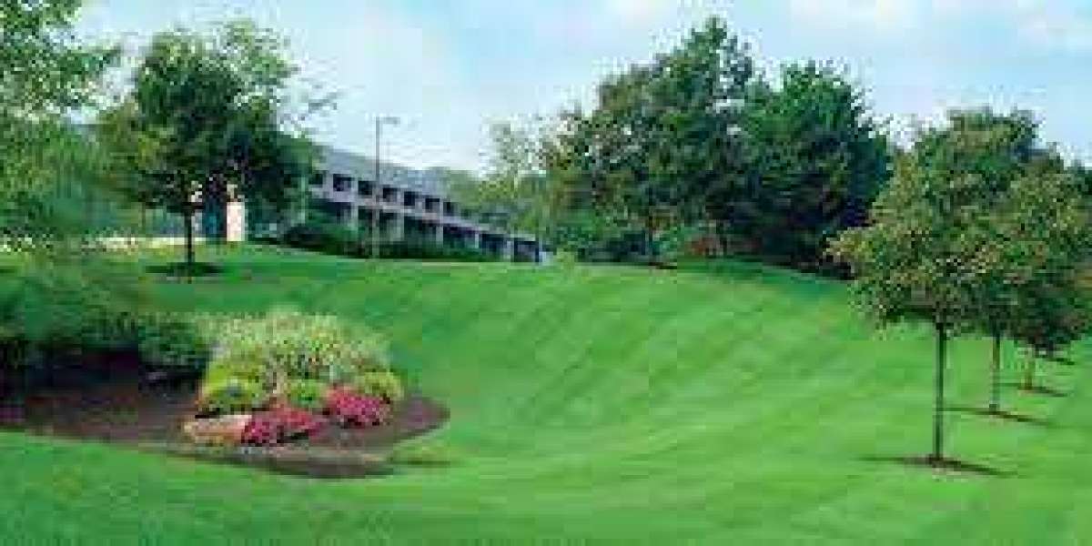 Landscaping Services for Commercial Properties in California