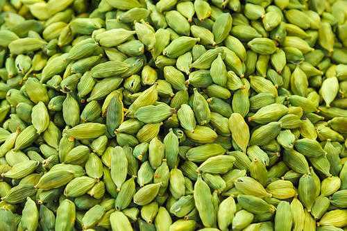 Best Cardamom Wholesalers in Bodinayakanur Profile Picture