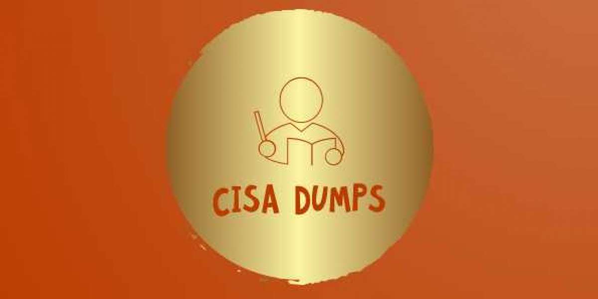Dumps School gives CISA questions