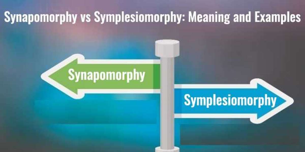 Synapomorphy Definition-Synapomorphy vs Symplesiomorphy: Meaning And Examples