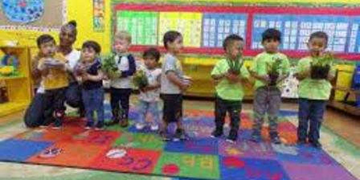 Montessori School Missouri City Encourages Self-Directed Education Methodology