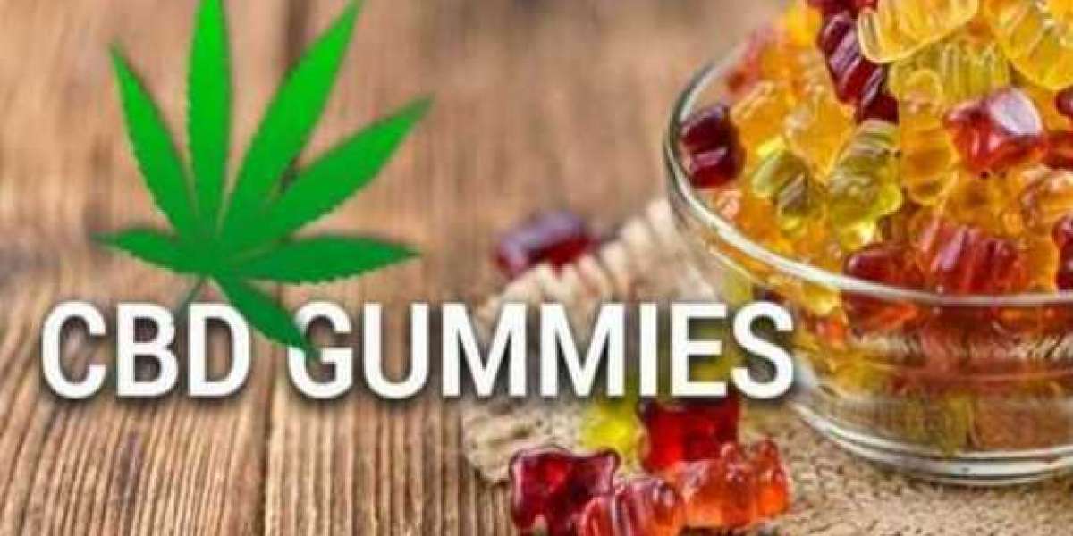 The Most Beloved Clinical CBD Gummies Products, According to Reviewers