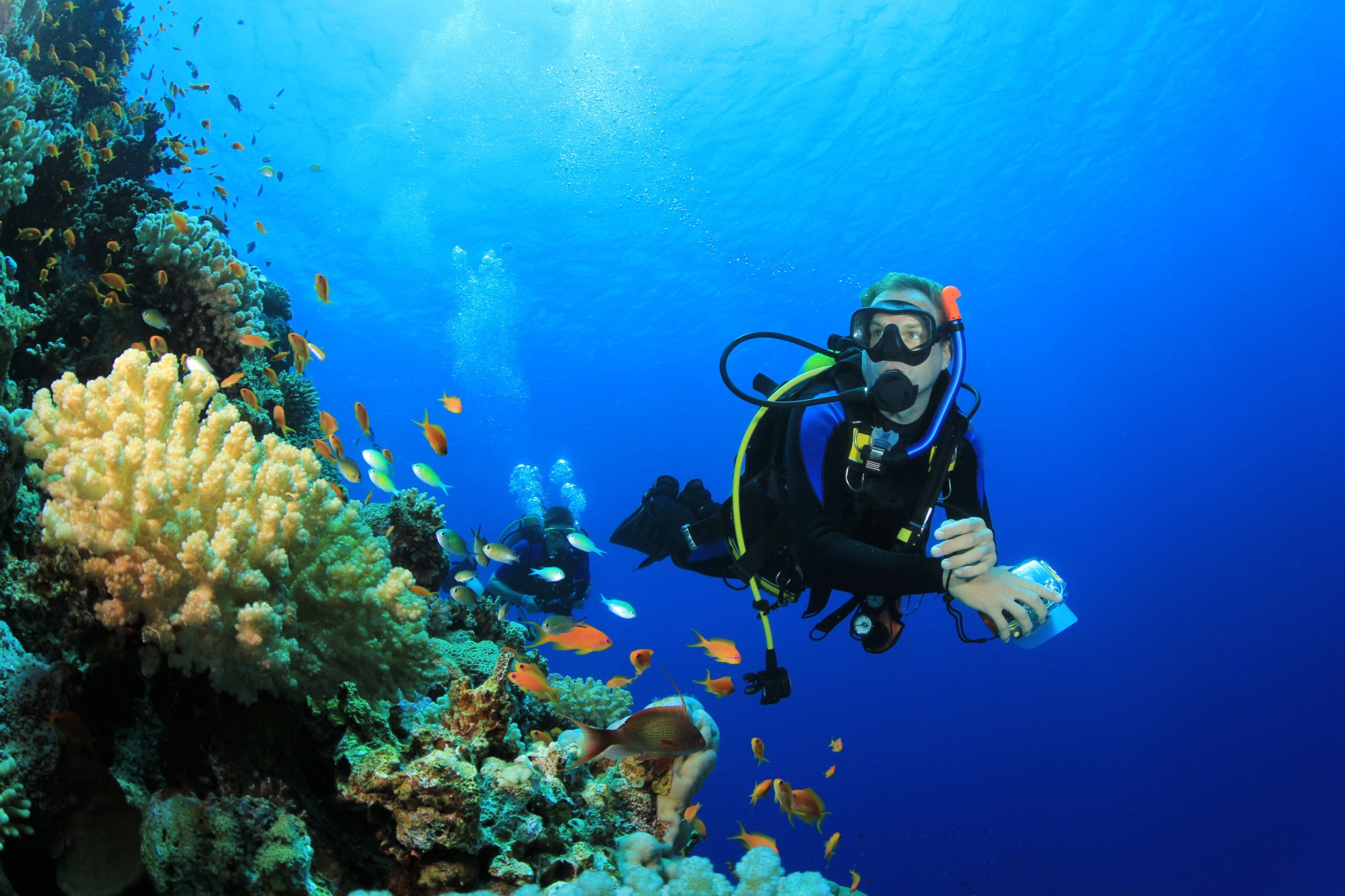 5 Essential Tips for Scuba Dive Safely - thelibeltourist.com