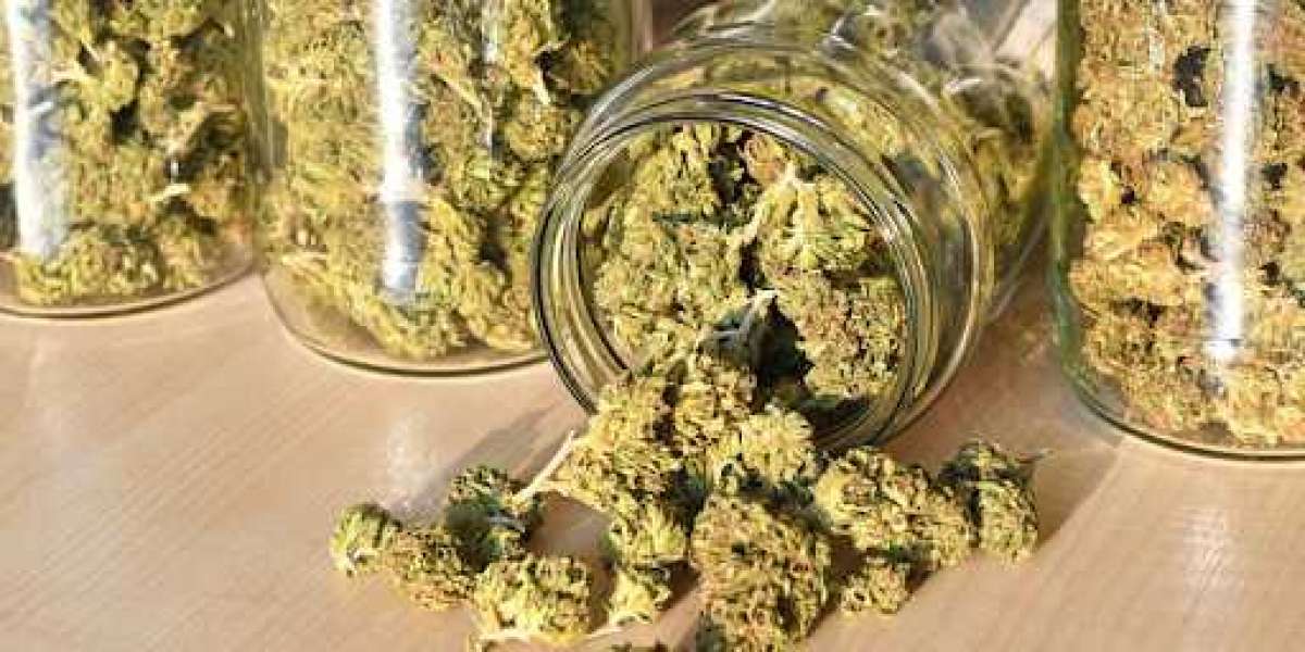 Your Neighborhood's Most Dependable Marijuana Dispensary!
