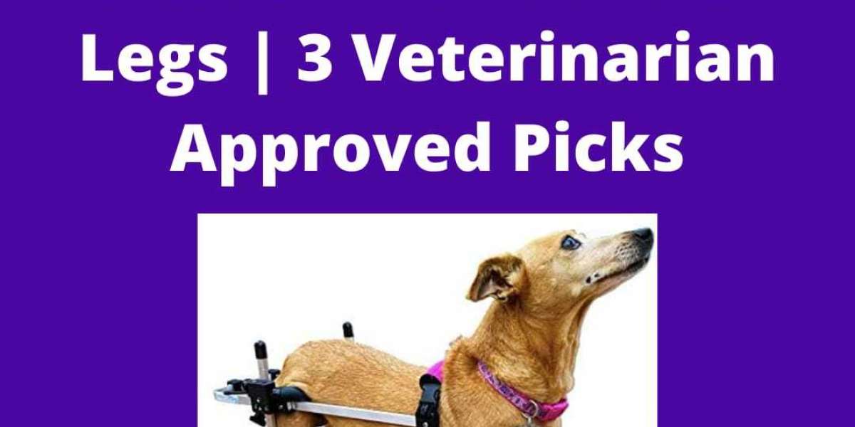 The 5 Best Rated Dog Wheelchairs