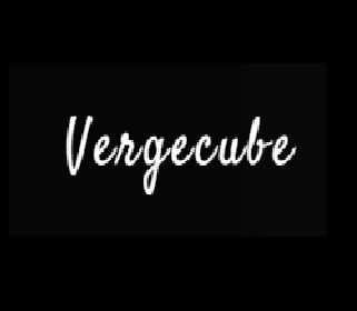 Vergecube Staycation Profile Picture