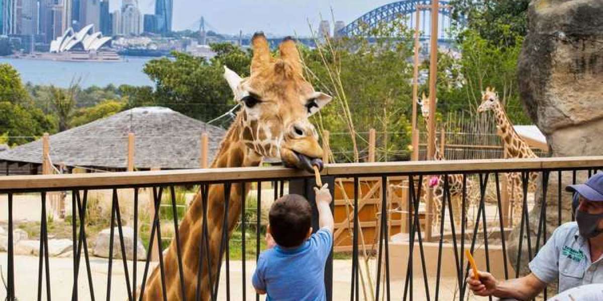 What about Taronga Zoo Sydney