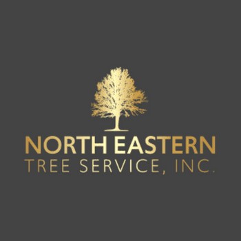 North Eastern Tree Service Tree Service Profile Picture