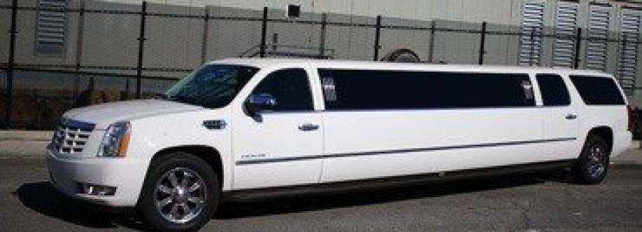 NYC State Limo Cover Image