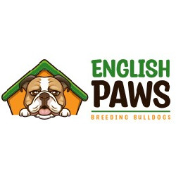 English Paws Profile Picture