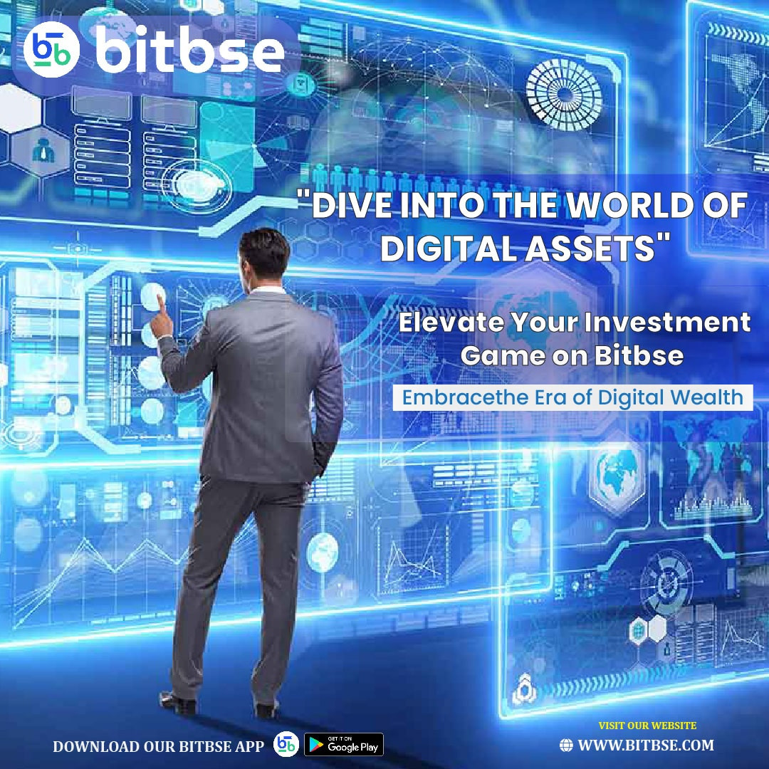Bitbse Exchange Profile Picture
