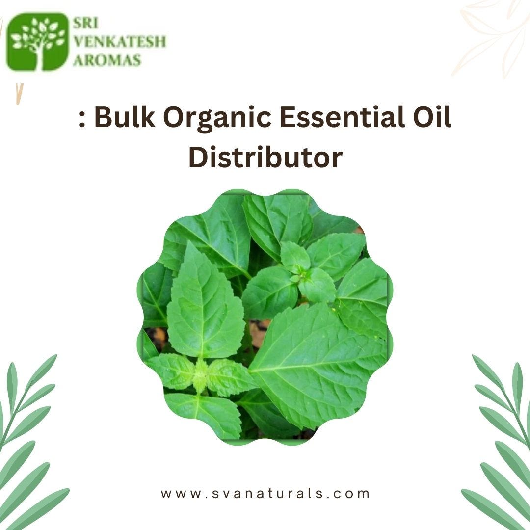 Improve Your Business: Bulk Organic Essential Oil Distributor | by Sri Venkatesh Aromas | Apr, 2024 | Medium