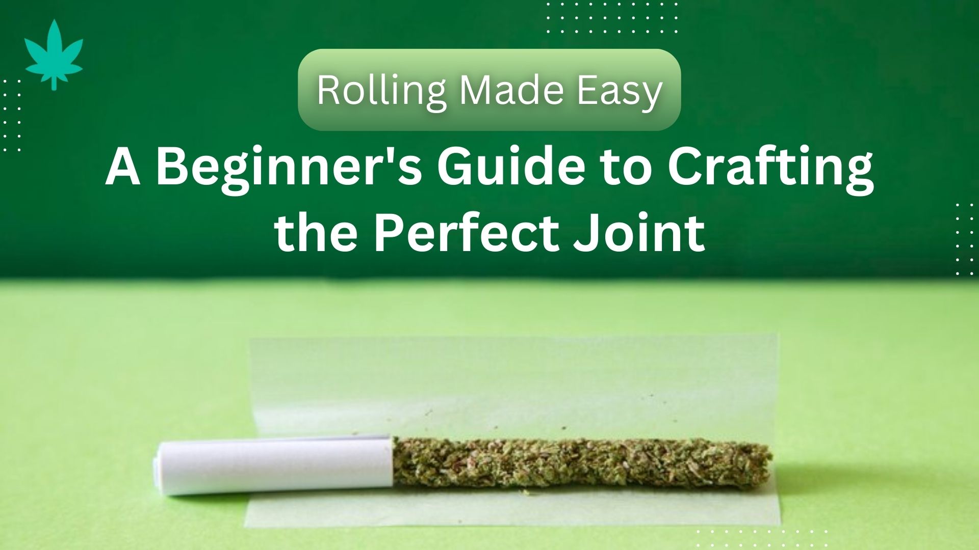 Rolling Made Easy: A Beginner's Guide to Crafting the Perfect Joint | Guest Post World