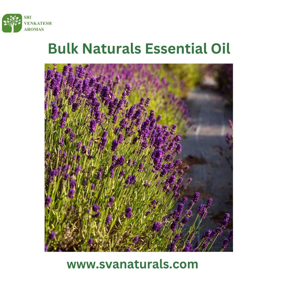 Your Trusted Bulk Natural Essential Oil Distributor : Sri Venkatesh Aromas – @svanaturals23 on Tumblr