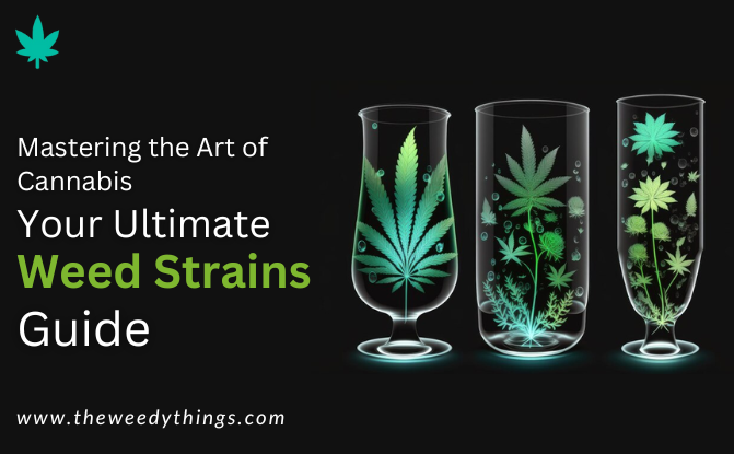 Mastering the Art of Cannabis: Your Ultimate Weed Strains Guide