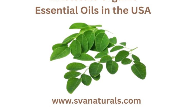 Unveiling Nature's Essence: Wholesale Organic Essential Oils in the USA - Handyclassified