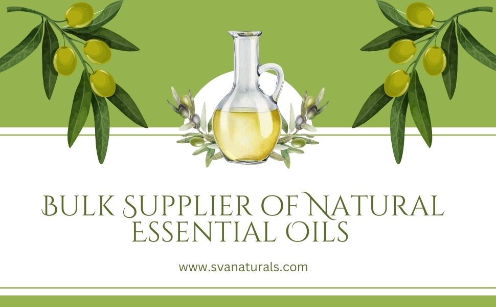 Unlocking the Power of Nature: Choosing a Bulk Supplier of Natural Essential Oils – Sri Venkatesh Aromas