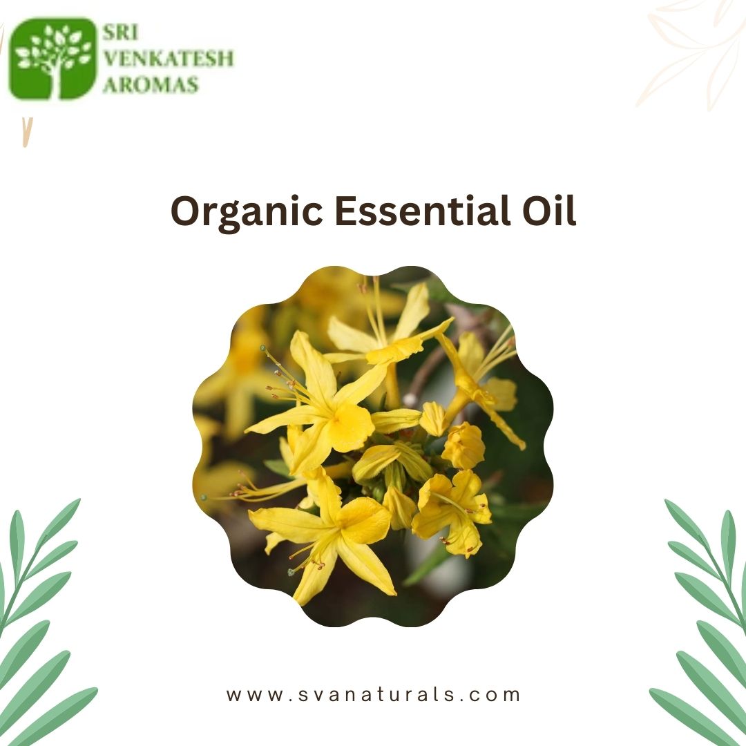 Improve Your Business: Bulk Organic Essential Oil Distributor – Sri Venkatesh Aromas