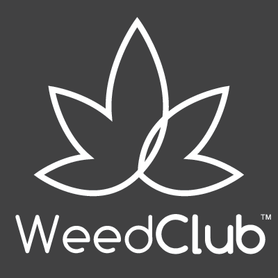 WeedClub | My Business Name | Unveiling the Intrigue: A Deep Dive into SEAL 4 Web Series