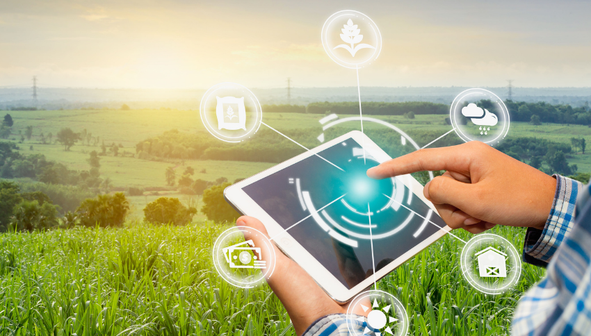 IoT in Agriculture: Revolutionizing Farm Management – Webs Article