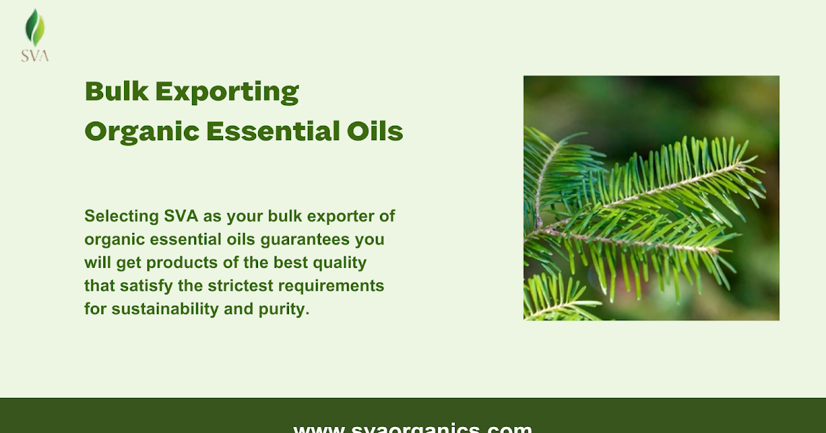 SVA: Your Best Option for Bulk Exporting Organic Essential Oils