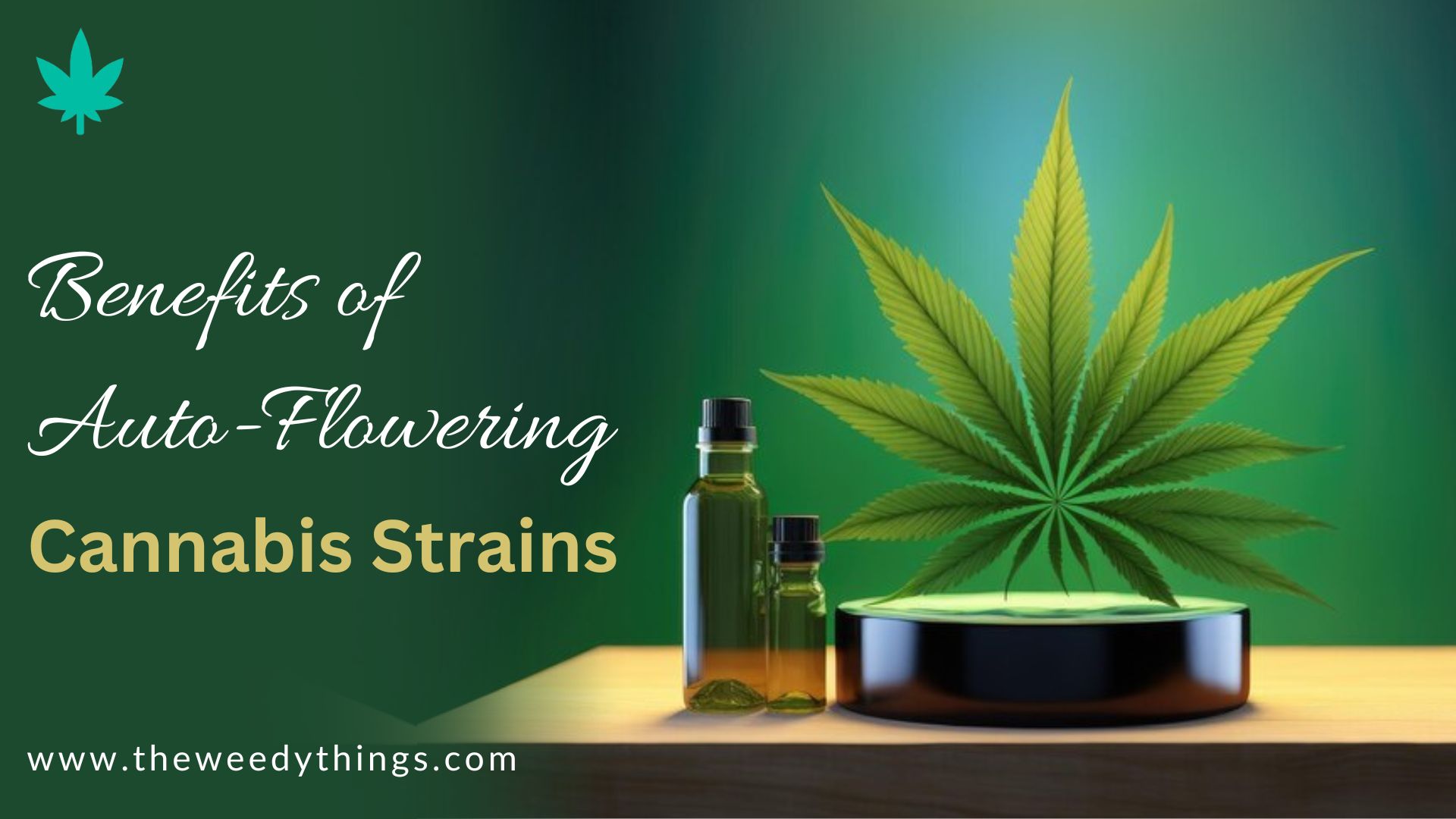 Discovering the Benefits of Auto-Flowering Cannabis Strains