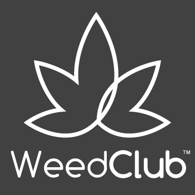 WeedClub | My Business Name | Crack the Code: C++ MCQs to Test Your Programming Prowess