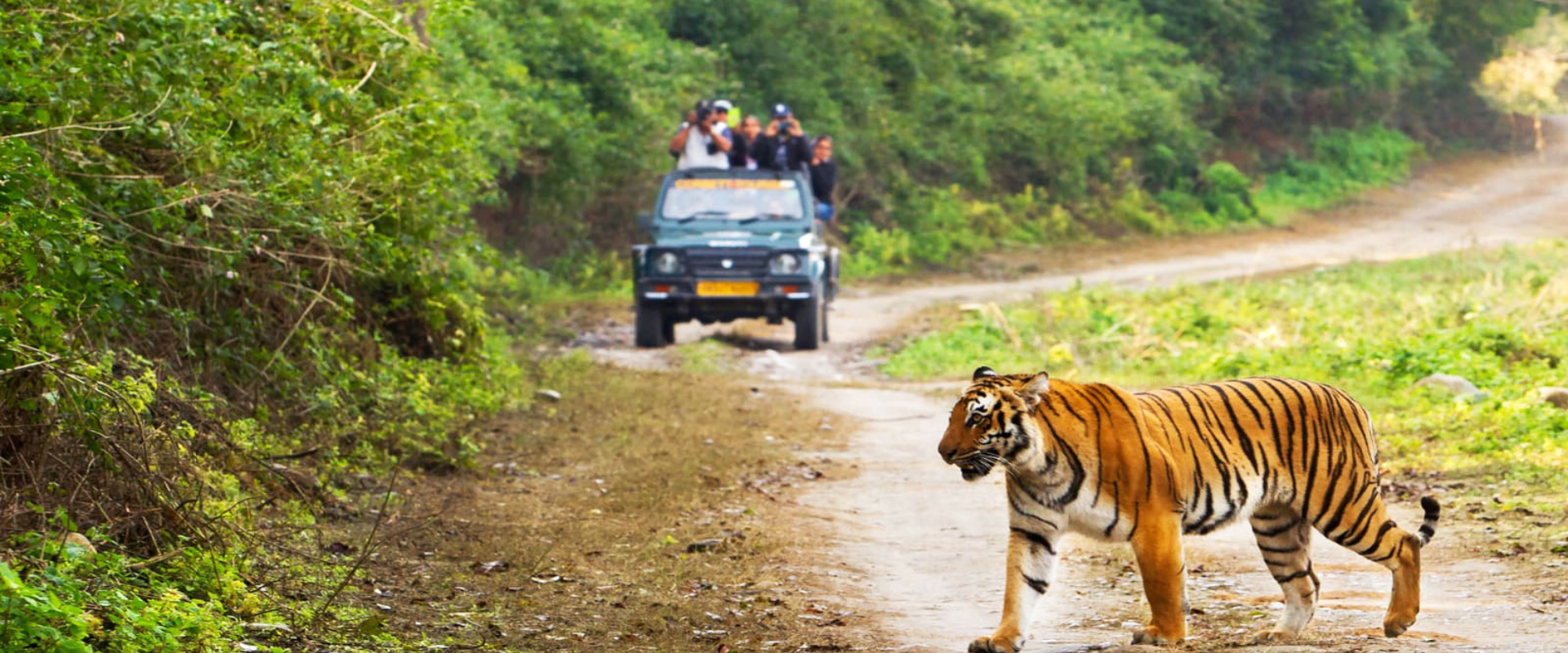 Sariska Online Booking | Government Jeep Safari