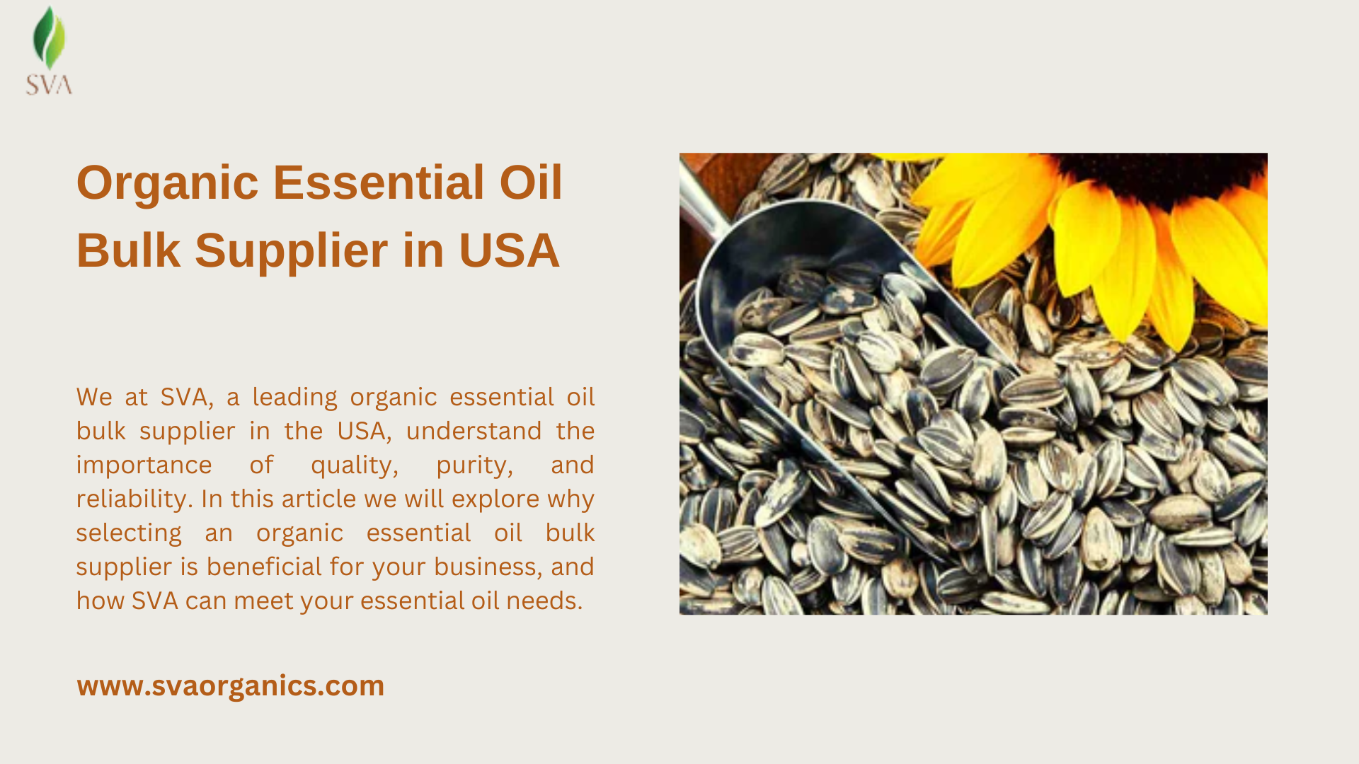 Discover The Advantages of Choosing An Organic Essential Oil Bulk Supplier In USA – SVA Organics