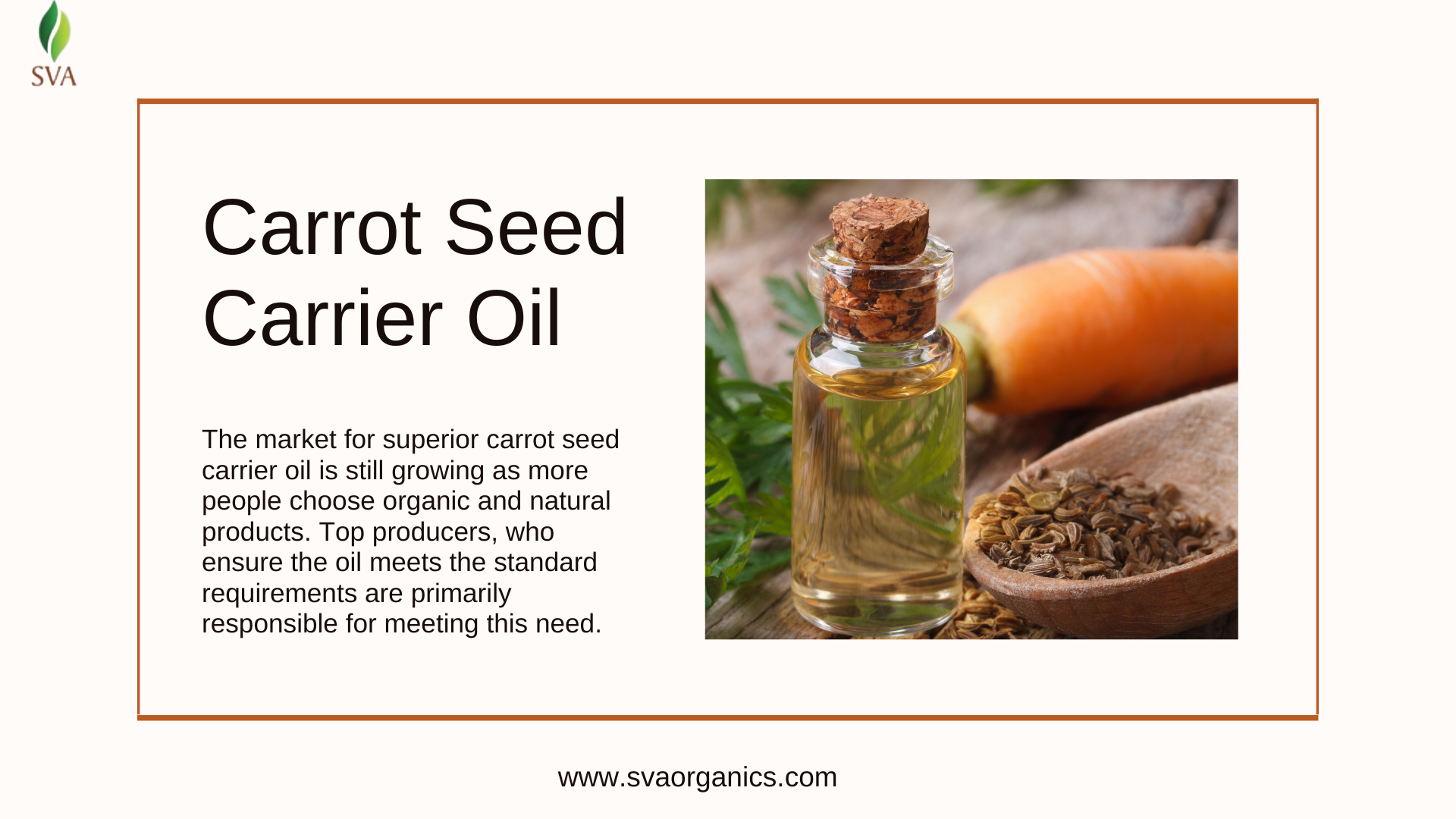Carrot Seed Carrier Oil by Top Manufacturers – SVA Organics