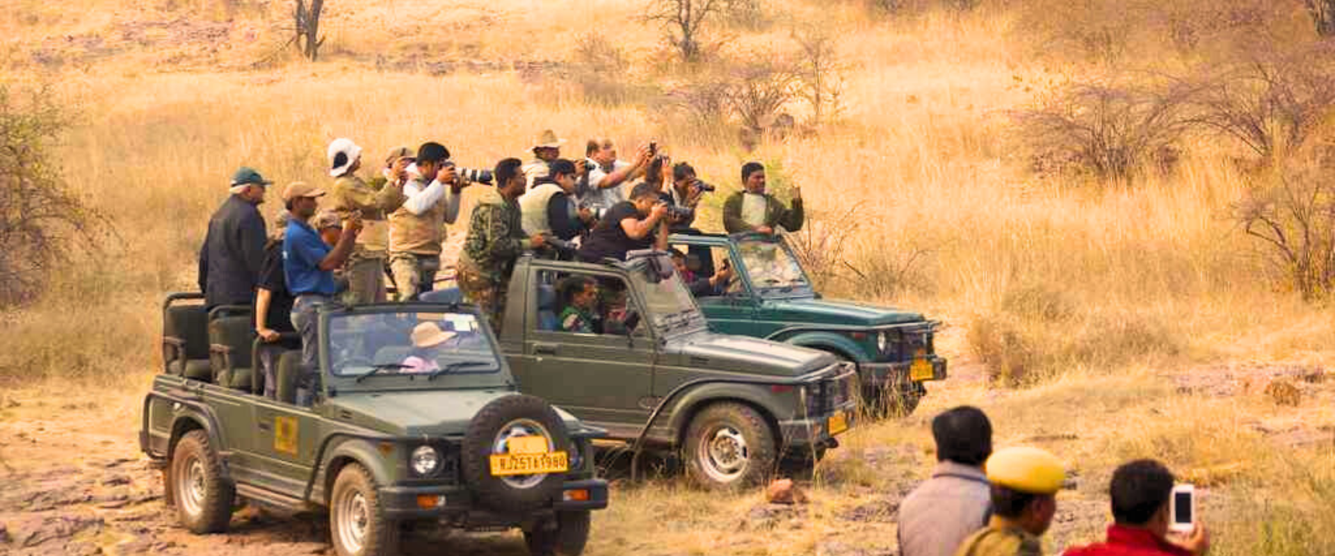 Online Jeep Safari Booking | Ranthambore National Park Safari