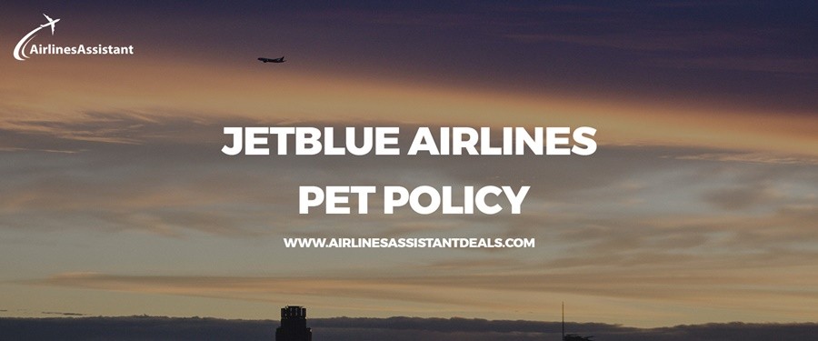 What is JetBlue Airlines Pet Travel Policy?