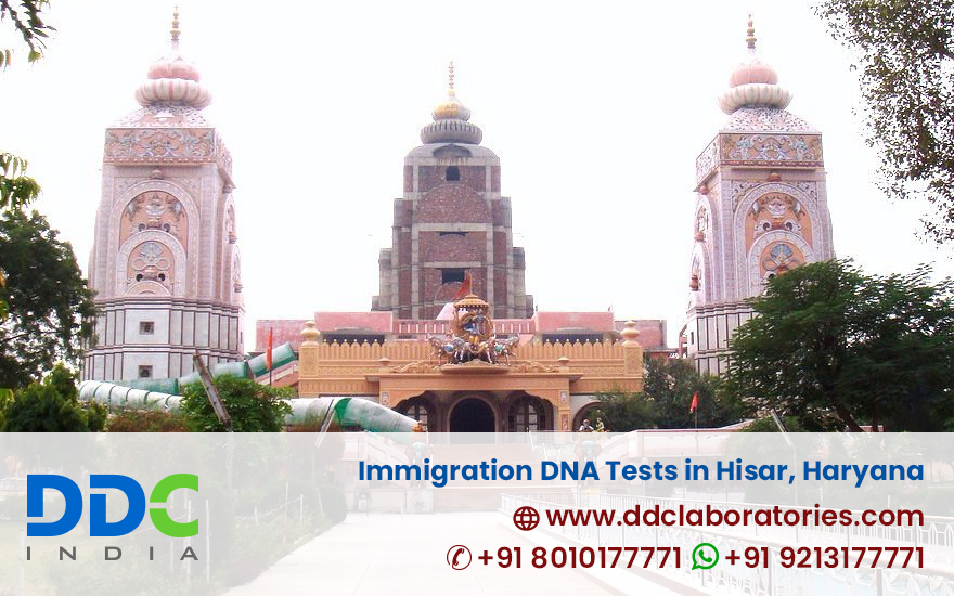 Immigration DNA Tests in Hisar Haryana - Affordable DNA Tests